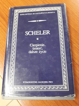 Scheler - Cierpienie, śmierć, dalsze życie