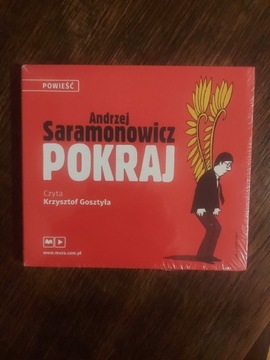 Pokraj Andrzej Saramonowicz audiobook 