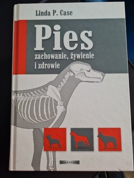 Pies zachowanie, żywienie i zdrowie