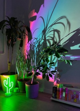 Lampka pokojowa LED retro, neonowa design wnętrz 