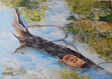 Obraz olejny 50x70 "Konar na wodzie"