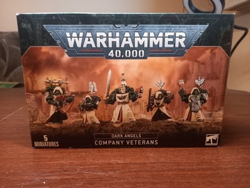 Dark Angels company veteran 