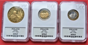 Polska Euro Próby od 1 c do 5 Euro 2004 r  MS 65 !