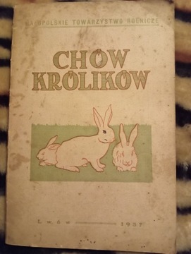 Chów królików-Stefania Nikorowicz 1937 rok.