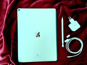 iPad Pro 12,9” 2gen 256gb