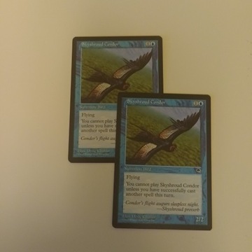 Skyshroud Condor MTG blue