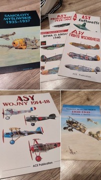 Asy luftwaffe przestworzy wojny samolotymyśliwskie