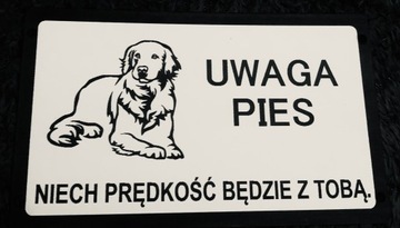 Tabliczka ostrzegawcza uwaga zły pies labrador