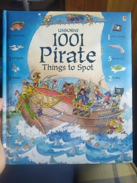 1001 things to spot Pirate Unikat wyszukiwanie