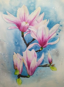 Obraz, Akwarela - Botanika, magnolia,   A5.