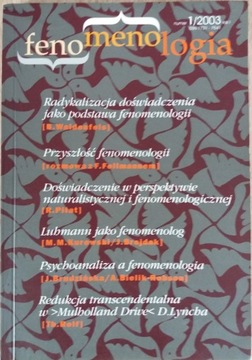 Fenomenologia - pismo - tom 1-10