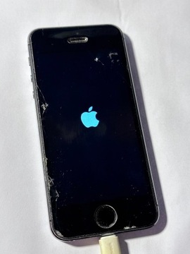 Smartfon Apple iPhone 5S Model A1533