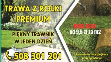 Trawa w rolce 35 m2 PREMIUM, trawnik rolowany