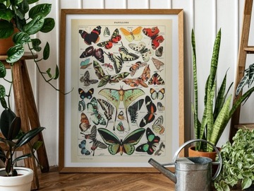 Plakat zbór Motyli rysowanych vintage