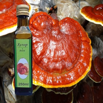 Syrop z Reyshi-Ganoderma 250 ml. 