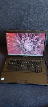 Lenovo 3000 N500 / 4GB ram