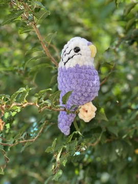 Papużka falista na szydełku przytulanka amigurimi