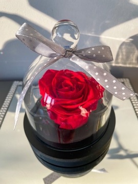 Wieczna róża pod szklaną kopułką Royal Red
