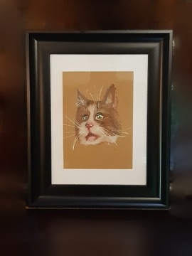 Obraz portretowy kota w czarnej ramie z paspartu