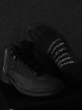 Jordan 12 black