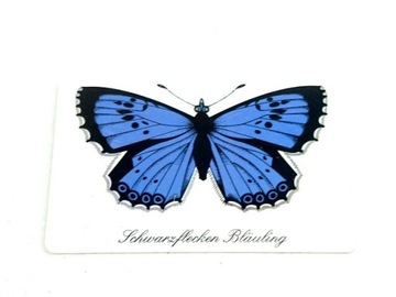 274  - Niemcy motyl niebieski 