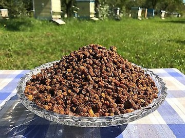 Pierzga pszczela z 2024r 1kg 