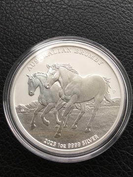 Brumby 2023 1 oz Ag