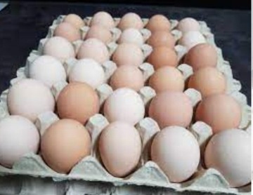 Jajka kurze od własnych Kur ekologiczne 