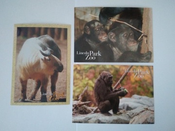 3 pocztówki Lincoln Park Zoo USA (zestaw)