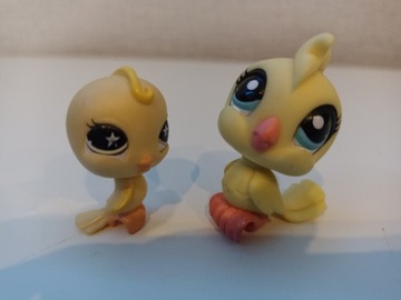 Littlest pet shop kanarek + dodatek 