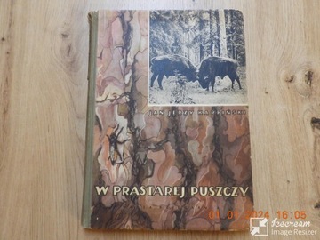 W Prastarej Puszczy. - J. J. Karpiński wyd. 1955r.