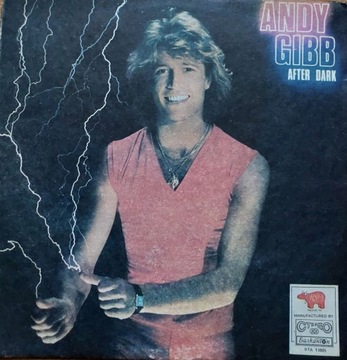 Andy Gibb - after dark, vinyl