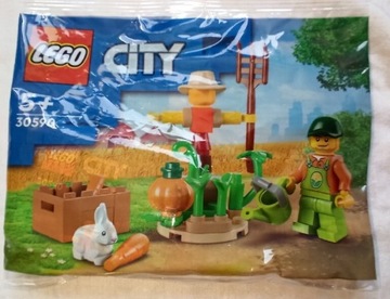 LEGO City 30590 Strach na wróble z dynią 