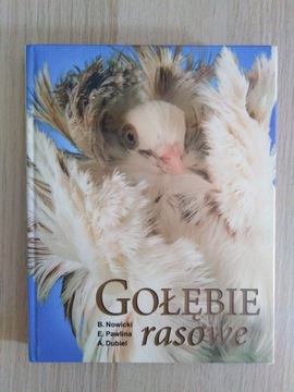 Gołębie rasowe, Nowicki, Pawlina, Dubiel