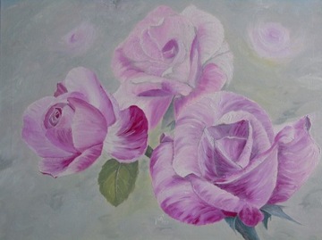 Pink roses,trzy roze 