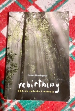 Rebirthing -J.Morningstar
