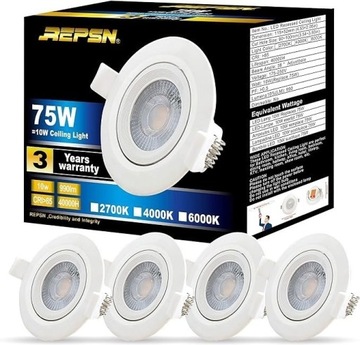 Reflektor wpuszczany LED REPSN 10W 