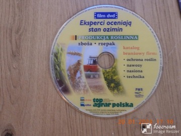 Eksperci oceniają stan ozimin: zboża i rzepak. DVD