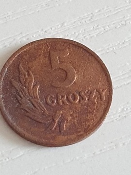moneta 5 gr.1949r brąz