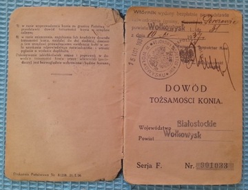 Dowód tożsamości konia 1937rok,Bialostocki