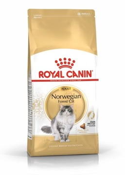 Sucha karma Royal Canin Norwegian Forest Cat 10 kg