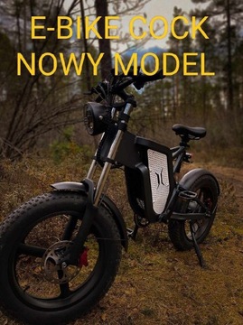 Rower elektryczny E-BIKE KOKOTOWSKI