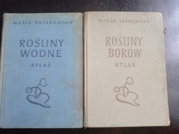 Wanda Laskowska Rosliny borow