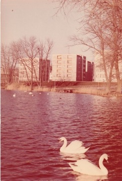 Sztum. Osiedle mieszkaniowe. 1978 r.