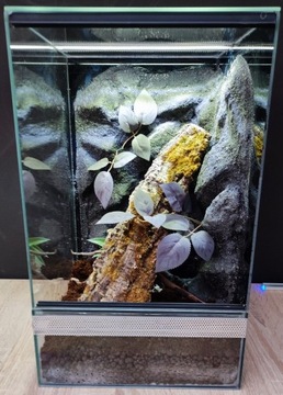 Terrarium dla gekona żaby 30x30x50 