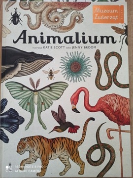 Animalium album, książka.