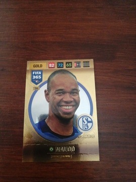 Naldo Gold FIFA 365 adrenalyn XL