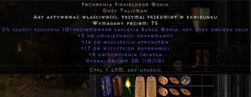 D2R Resurrected Torch Necro Pochodnia