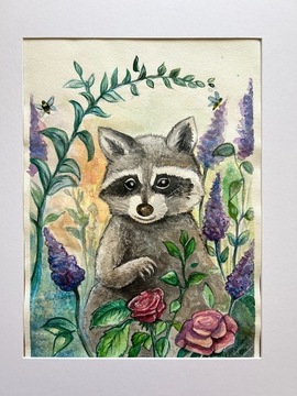 “Raccoon” akwarela na papierze