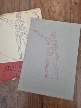 Atlas anatomii czlowieka Ferenc Kiss tom3 